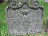 image of grave number 161510